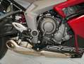 Triumph sofort verfügbar Rood - thumbnail 5