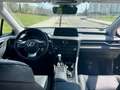Lexus RX 450h Executive Negro - thumbnail 18