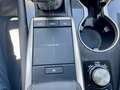Lexus RX 450h Executive Negro - thumbnail 34
