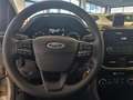 Ford Fiesta 5 Porte 1.1 70cv Plus Grigio - thumbnail 7