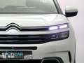 Citroen C5 Aircross 1.2 PURETECH 130 S&S SHINE 131 5P Blanc - thumbnail 10