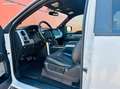 Ford F 150 Raptor svt 6.2 450ch bva Weiß - thumbnail 10