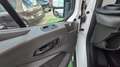 Ford Transit 350 2.0 TDCI 170CV ECO BLUE L3H3 Bianco - thumbnail 15