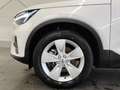 Volvo XC40 Volvo XC40 B3 Mild Hybrid Core Weiß - thumbnail 15