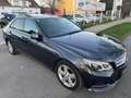 Mercedes-Benz E 220 CDI Avantgarde Aut. EXPORT/BASTLERFAHRZEUG  VOL... Grau - thumbnail 7