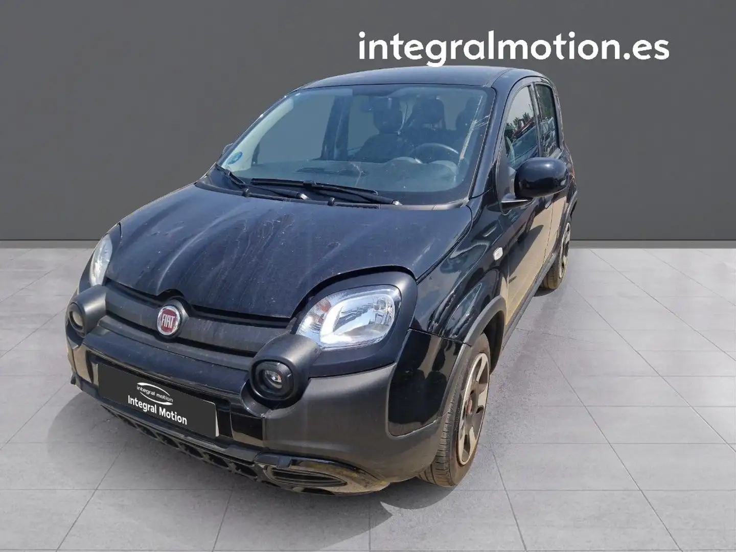 Fiat Panda Classic 1.3Mjt Climbing 4x4 - 1