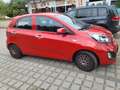 Kia Picanto Edition 7 Klima/Navi Bluetooth Rot - thumbnail 3