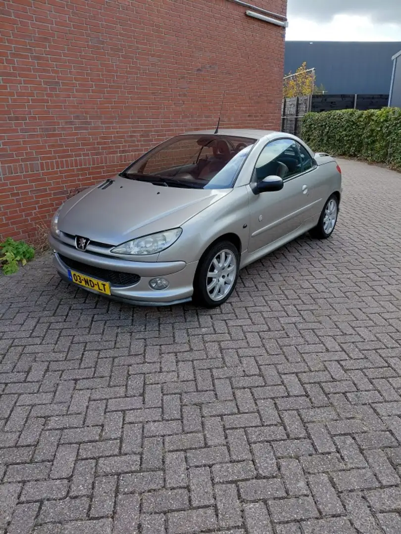 Peugeot 206 CC 1.6-16V Roland G. Grijs - 1