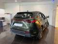 Lexus NX 350h Premium+ 2WD Bleu - thumbnail 6