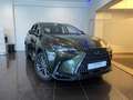 Lexus NX 350h Premium+ 2WD Bleu - thumbnail 1