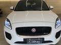 Jaguar E-Pace E-Pace 2.0d i4 R-Dynamic SE awd 150cv auto White - thumbnail 1