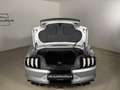 Ford Mustang GT Convertible // Blickfang // MagneRide // Top // Silber - thumbnail 12