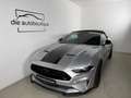 Ford Mustang GT Convertible // Blickfang // MagneRide // Top // Silber - thumbnail 3