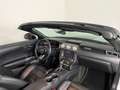 Ford Mustang GT Convertible // Blickfang // MagneRide // Top // Silber - thumbnail 25