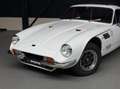 TVR Sonstige 3000 3.0 M Coupé |ORIG. NL|UPGRADES|SCHUIFDAK|LEDE Weiß - thumbnail 13
