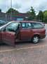 Ford Focus 1.6-16V Cool Edition Червоний - thumbnail 3