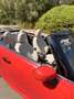 MINI John Cooper Works Cabrio Aut. - thumbnail 11