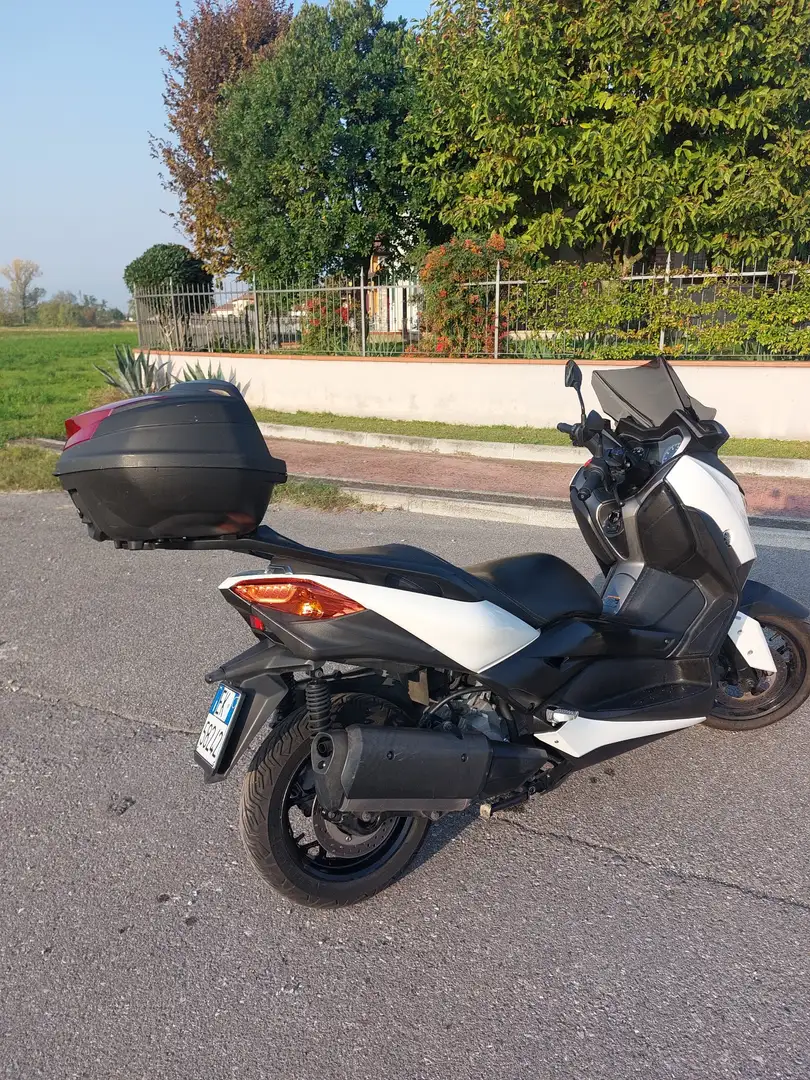 Yamaha X-Max 300 Bianco - 2