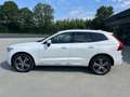 Volvo XC60 AWD -ACC-Belü.Sitz-Massage-LED-20Zo Blanc - thumbnail 2