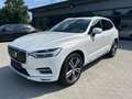 Volvo XC60 AWD -ACC-Belü.Sitz-Massage-LED-20Zo Blanc - thumbnail 1