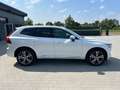 Volvo XC60 AWD -ACC-Belü.Sitz-Massage-LED-20Zo Blanc - thumbnail 5