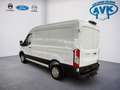Ford Transit Kastenwagen Trend NETTO 31.990,- Blanc - thumbnail 4