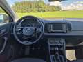 Skoda Karoq Active Grau - thumbnail 14