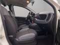 Fiat Panda Panda III 2016 1.2 Pop s Weiß - thumbnail 12