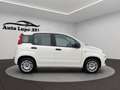 Fiat Panda Panda III 2016 1.2 Pop s Weiß - thumbnail 7