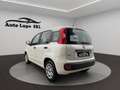 Fiat Panda Panda III 2016 1.2 Pop s Weiß - thumbnail 2