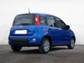 Fiat Panda 1.0 FireFly 70cv S&S Hybrid Pandina Schwarz - thumbnail 10