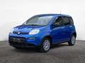 Fiat Panda 1.0 FireFly 70cv S&S Hybrid Pandina Schwarz - thumbnail 4