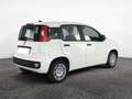 Fiat Panda 1.0 FireFly 70cv S&S Hybrid Pandina Schwarz - thumbnail 8