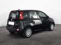Fiat Panda 1.0 FireFly 70cv S&S Hybrid Pandina Schwarz - thumbnail 7