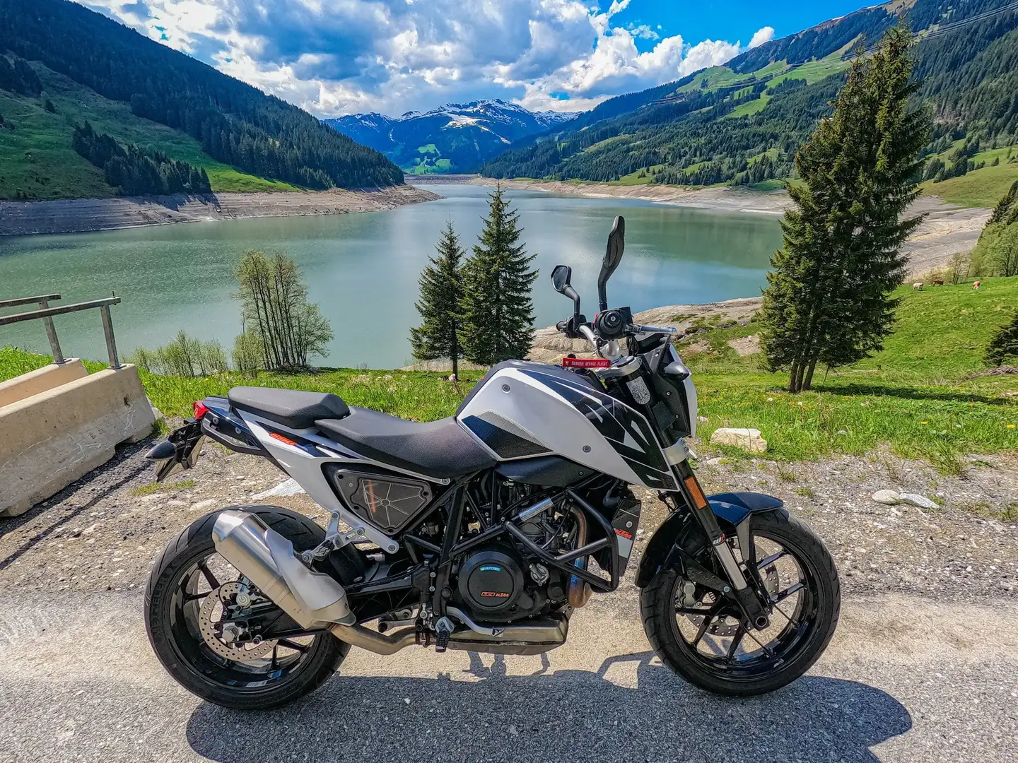 KTM 690 Duke Alb - 1