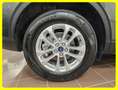 Ford Kuga 1.5 EcoBlue 120CV 2wd Auto Titanium Grigio - thumbnail 7