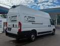 Fiat Ducato L4H3 Weiß - thumbnail 6