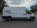 Fiat Ducato L4H3 Weiß - thumbnail 7