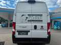 Fiat Ducato L4H3 Weiß - thumbnail 1