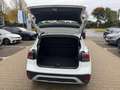 Volkswagen T-Cross 1.0 l TSI DSG Life *KAMERA*GJREIFEN*SITZHEIZUNG* Weiß - thumbnail 15