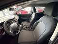 SEAT Ibiza 1.0 TSI S&S Reference Plus 95 Gris - thumbnail 6