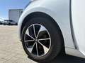 Renault ZOE Intens Automatik Klimaauto PDC Navi Weiß - thumbnail 6