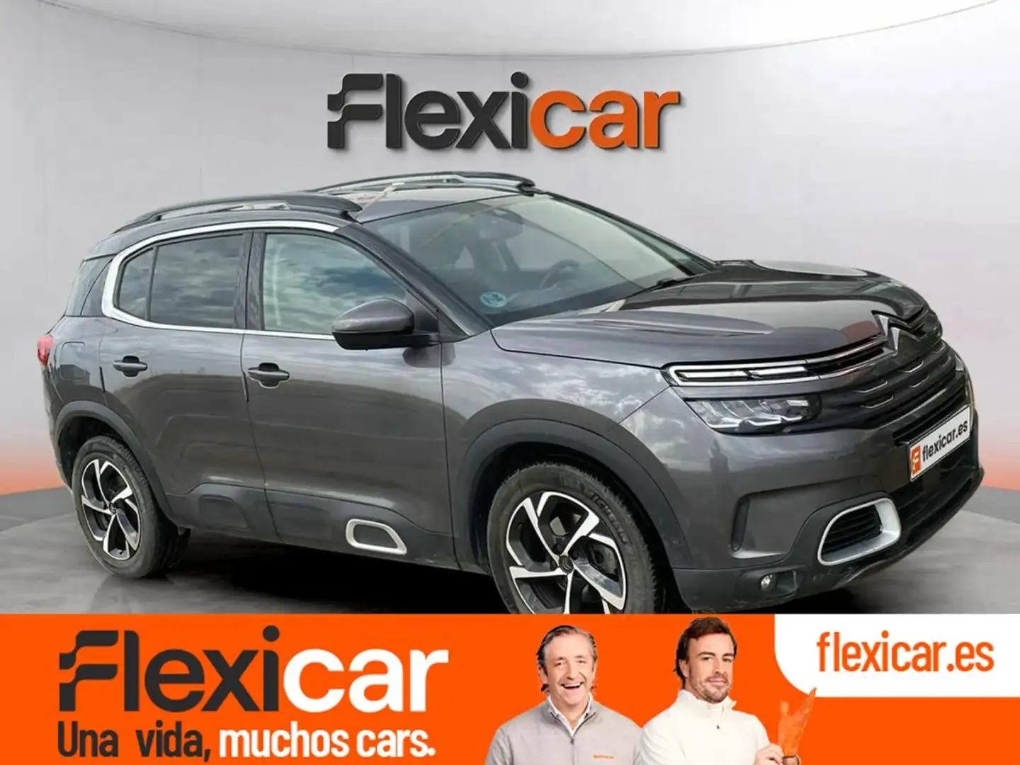 Citroen C5 Aircross BlueHdi 96kW (130CV) S&S EAT8 C Series Gris - 1