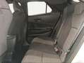 Toyota C-HR Advance Plug-in Hybrid 220 Plateado - thumbnail 12