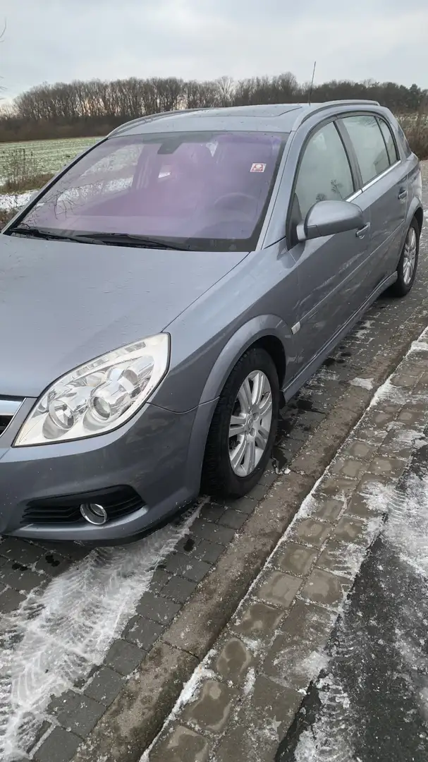 Opel Signum Edition Grau - 2