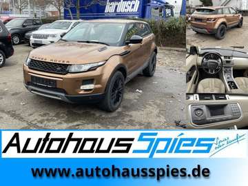 TD4 Aut. Pure GEWERBE EXPORT