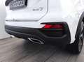 EVO EVO7 7 1.5 turbo Gpl 7p.ti dct Bianco - thumbnail 8