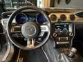 Ford Mustang GT Convertible*50 Years Edition*Schalter Šedá - thumbnail 18