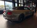 Ford Mustang GT Convertible*50 Years Edition*Schalter Šedá - thumbnail 8