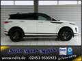Land Rover Range Rover Evoque 2.0 D180 S AWD Panorama 360° Bianco - thumbnail 4